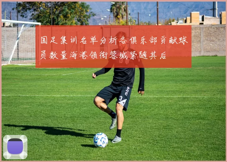 国足集训名单分析各俱乐部贡献球员数量海港领衔蓉城紧随其后